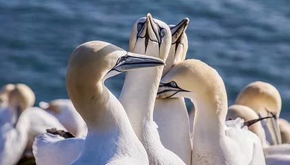 九游体育登录入口-英雄联盟 新版本平衡性调整，英雄联盟平衡机制